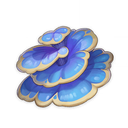 룩카데바타 성체 버섯