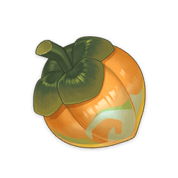 여름빛 참나무 열매