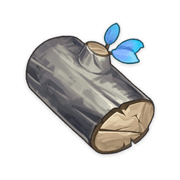 오토기나무 원목