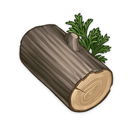 사이프러스나무 원목