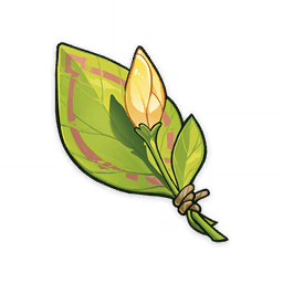 어딘가에서 온 못다 핀 꽃