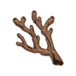 먼바다의 산호 가지