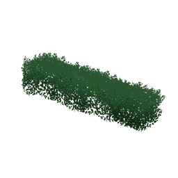 흔하디 흔한 관목 덤불