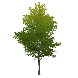 「따뜻한 모닥불 나무」