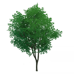 「사냥꾼의 휘파람」