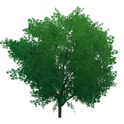 「사냥감의 망토」