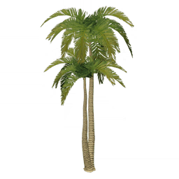 밝은 모래색 야자나무