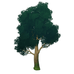 「창색의 바람」