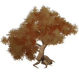 천형 단풍-「불타는 듯한 낙엽」