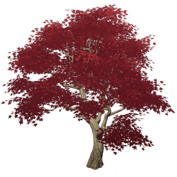 가을달빛 붉은 서리꽃