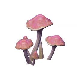 아욱빛 전필버섯