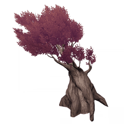 적홍색 수로나무