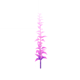 「눈 속의 붉은빛」