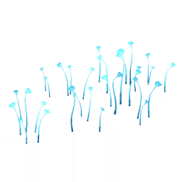 「푸른 수국의 슬픔」