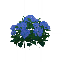 「적토색과 청색의 꽃잎」