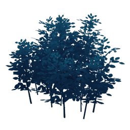 「대나무 귀인 옷방」