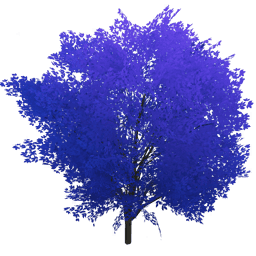 「잎사귀 사이에 숨은 이슬」