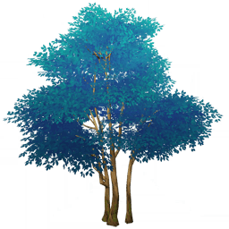 「한여름의 침향차」