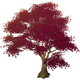 「다홍빛 흐르는 진팥색 단풍잎」