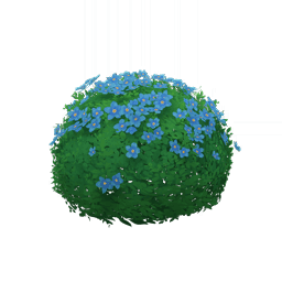 관상용 관목-「루키나 물빛」