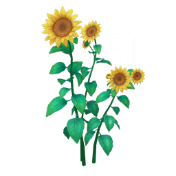 「햇빛 바라기」