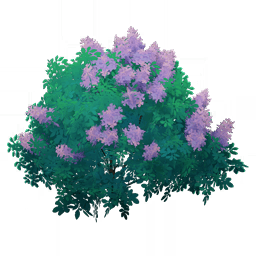 「도라지 안개」