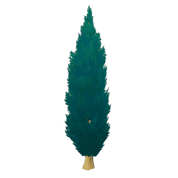 거리 교목-「표준 1」