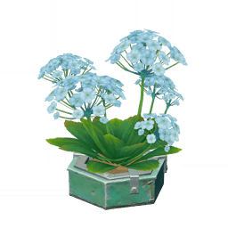 「하얀 꽃뭉치」