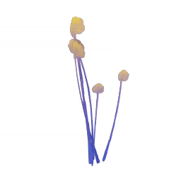「살랑살랑 반짝반짝」