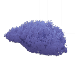 「보송보송 털뭉치」