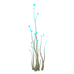 「물빛이 넘치는 가지」