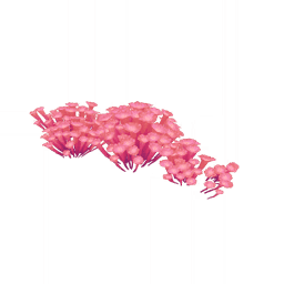 「안개의 속삭임」