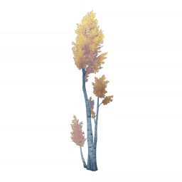 달빛 황금 나무