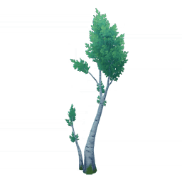 싹트는 푸른 나무