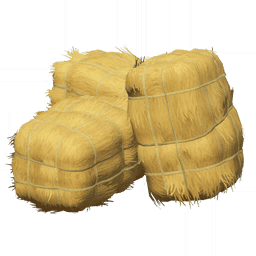 「저장의 규칙」