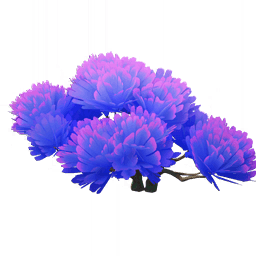 「노을빛 안개」