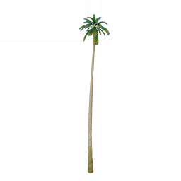 알록달록 푸른 야자나무