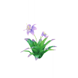 「숲 한 켠의 아름다운 흔적」