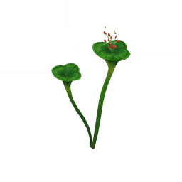 「또 다른 달콤함」