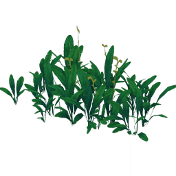 「물가의 풍요」