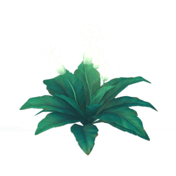 「시리게 선명한 백광」