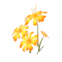 「작열의 유혹」