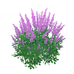 「유구한 매개」