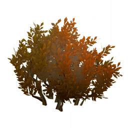 「새벽의 징조처럼」