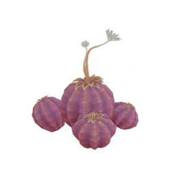 「숨겨진 달콤한 꿀」