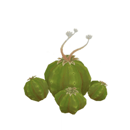 「숨겨진 짠 열매」