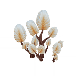 「뜨거운 모래 속 청량함」