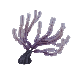 「반쯤 모래 속에 묻힌 편지」