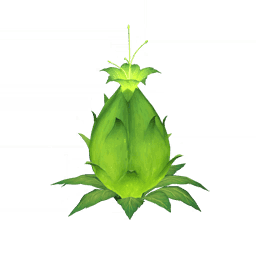 「맑은 꽃물과 푸릇한 과일」