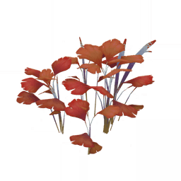 「석양의 그림자」